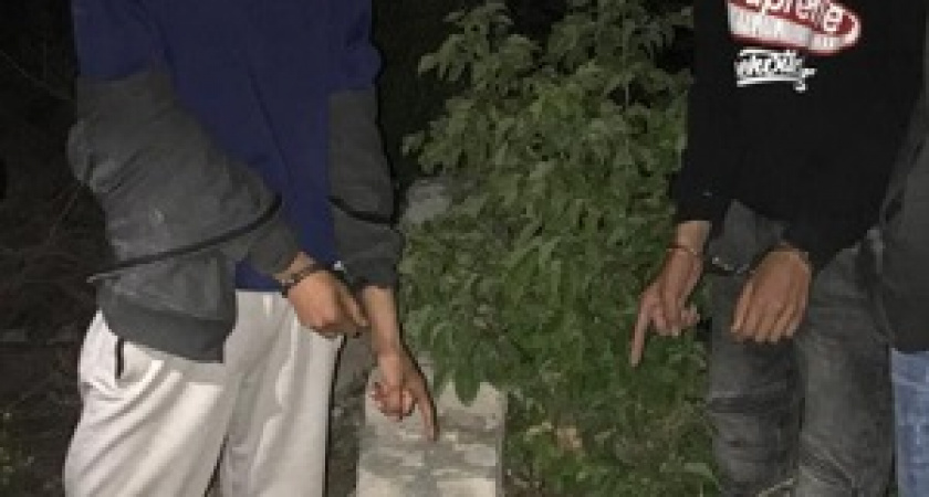 Двух волгоградцев задержали с 19-ю свертками наркотиков