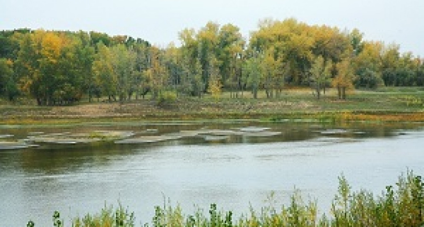 В Волгоградской области отменили особый противопожарный режим