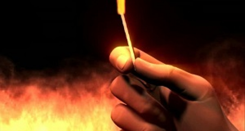 Под Волгоградом мужчина за увольнение сжег дачу работодателю