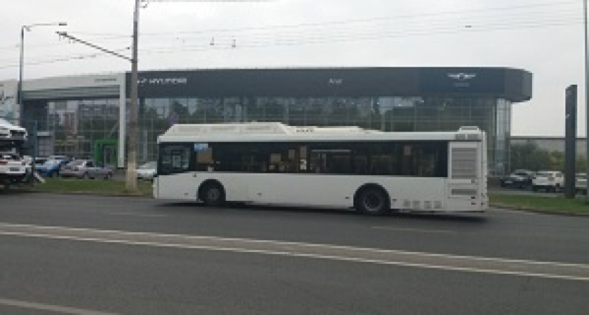 В Волгограде по вине водителя автобуса в больницу попали два пассажира
