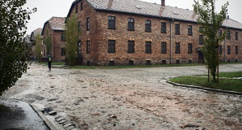 В Освенциме арестовали туриста, вырезавшего на стене свое имя