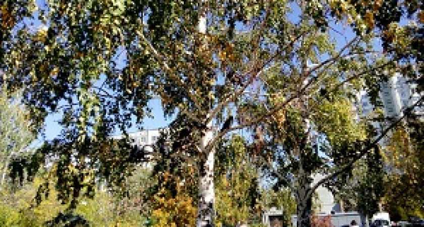  В Волгограде установится прохладная и солнечная погода