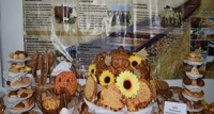 Волгоградцев приглашают на выставку «ВолгоградАГРО»