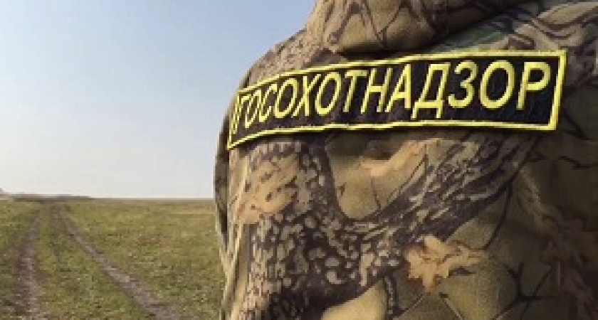 Под Волгоградом поймали охотника-браконьера