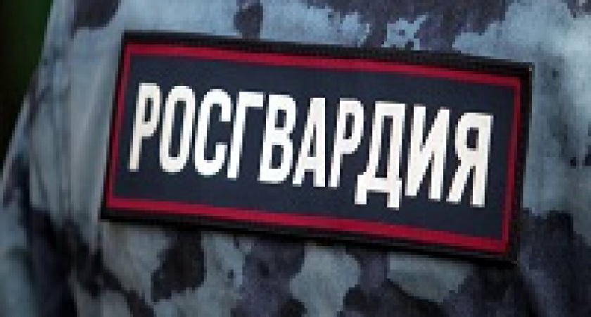 Росгвардии разрешили останавливать автомобили для проверки