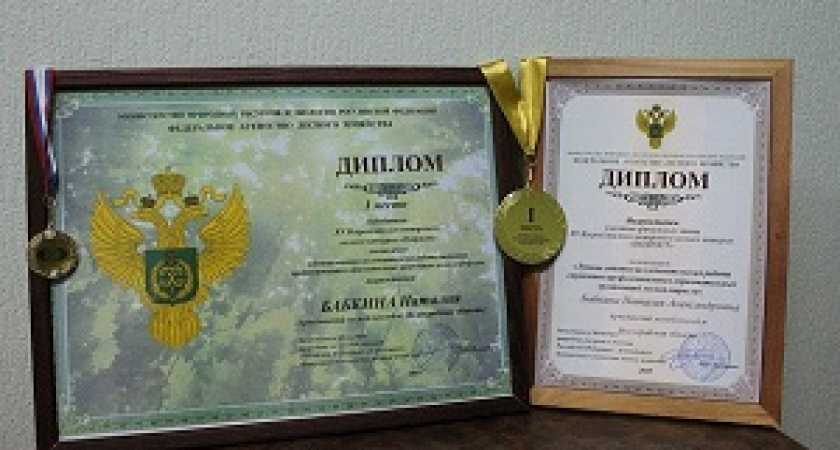 Волгоградская студентка стала победительницей Всероссийского лесного конкурса