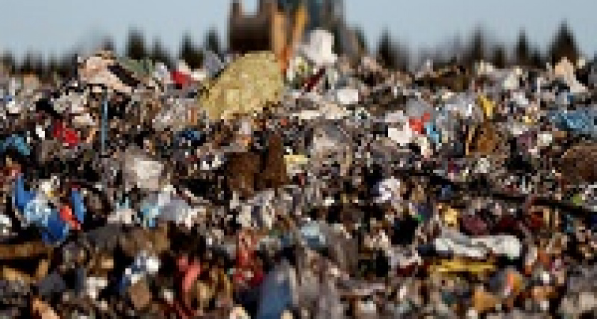 Волгоградские полицейские выбросили на свалку уголовные дела