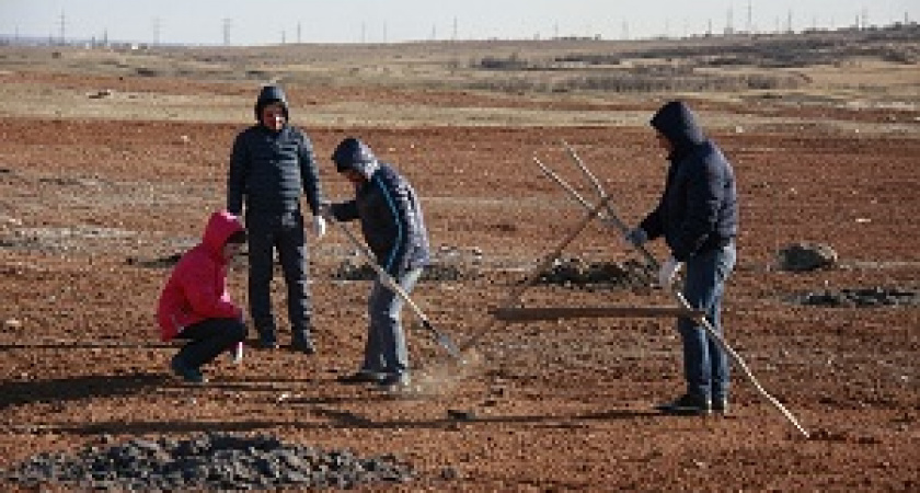 В Волгограде на ликвидированной кировской свалке высадят шесть тысяч деревьев 
