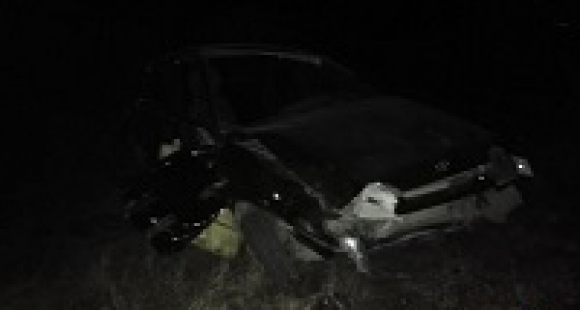 Под Волгоградом пьяный парень улетел в кювет