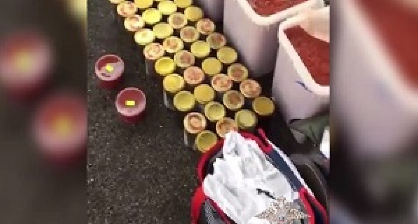 На посту ДПС задержали автомобиль со 100 кг незаконно добытой икры