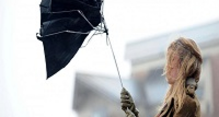 МЧС предупреждает волгоградцев о шквалистом ветре