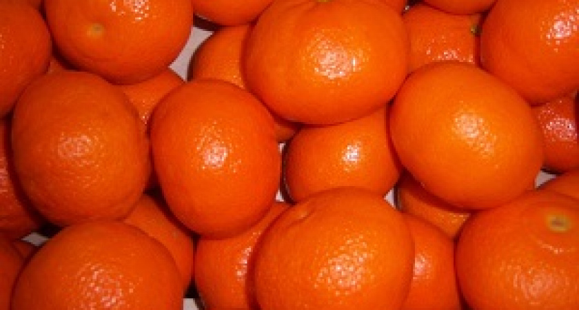 В Роскачестве рассказали, как выбирать мандарины