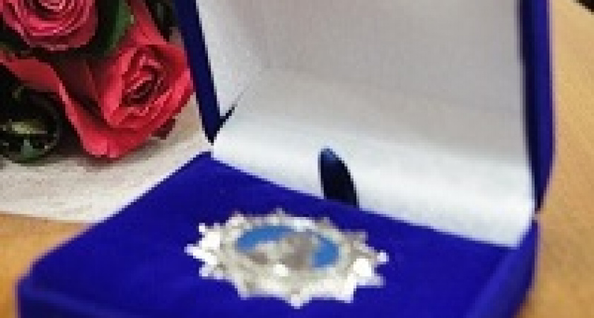 В Волгограде наградили многодетных мам