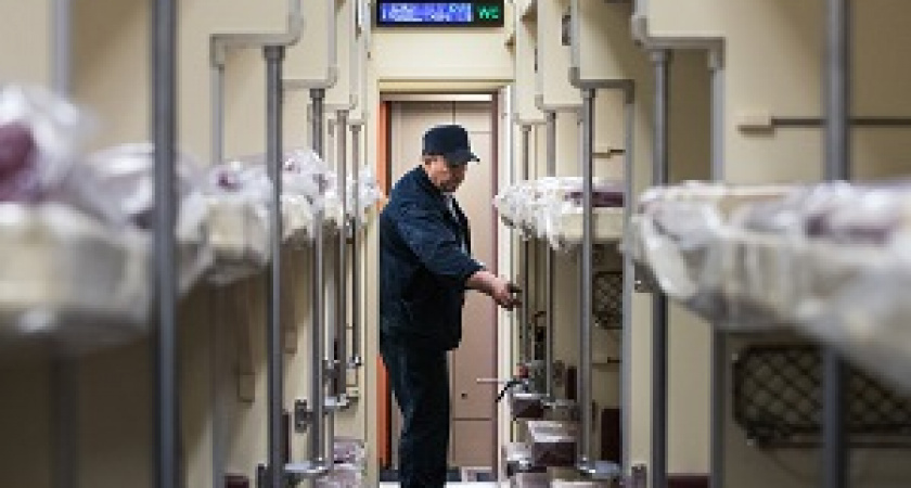 В РЖД предложили удлинить полки в плацкартных вагонах
