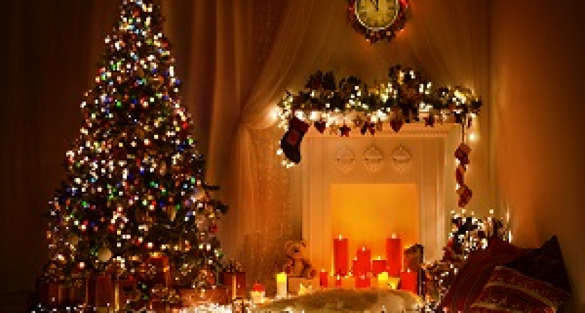 Где купить подставку для елки?