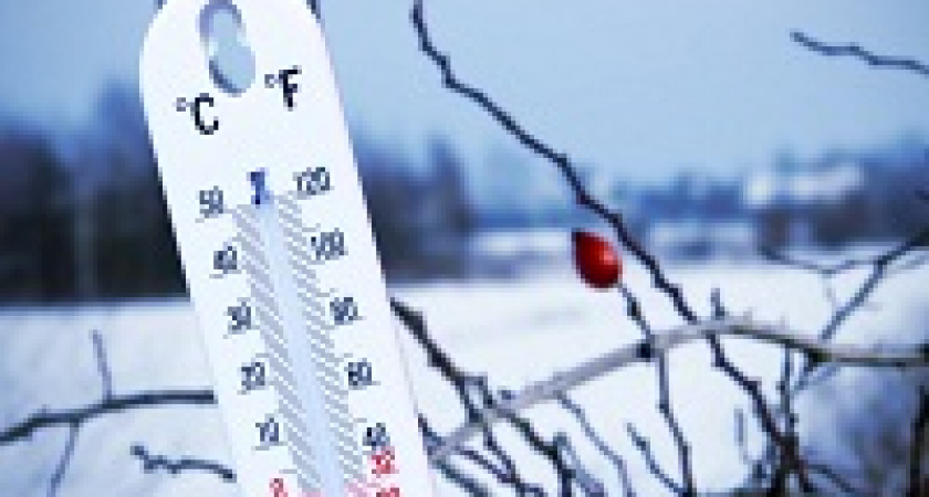 К концу рабочей недели в Волгоград вернутся морозы