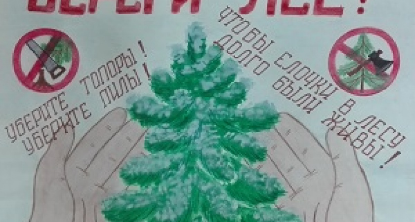 В Волгоградской области выбрали самую красивую ёлку