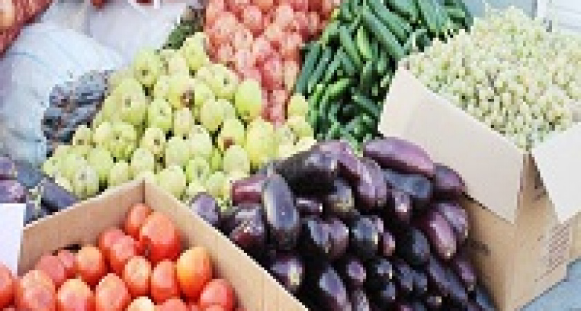 Волгоградцев приглашают на предновогоднюю ярмарку сельхозтоваров