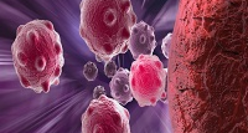 Учёные обнаружили новый механизм борьбы с раком