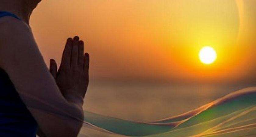 Сегодня – международный день «спасибо»