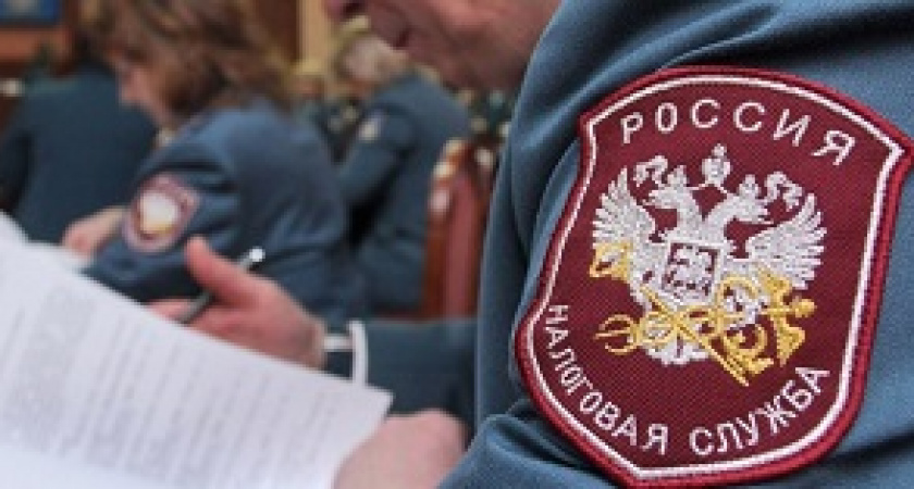 Волгоградцев ждут тщательные налоговые проверки
