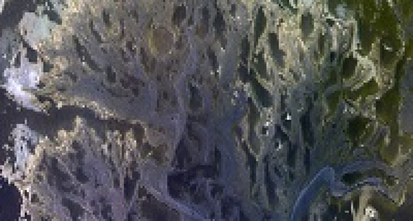 Опубликовано фото высохшей марсианской реки