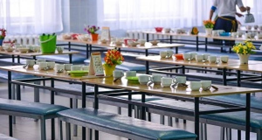 В России запустят общественный мониторинг школьной еды