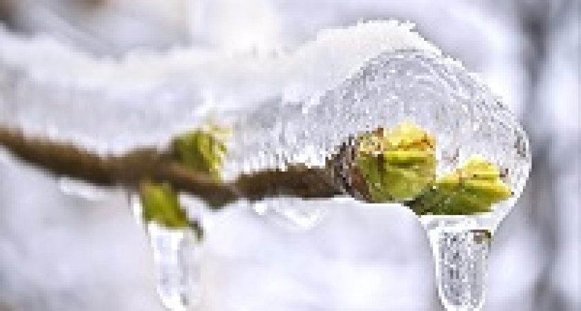 В Волгоград идет потепление