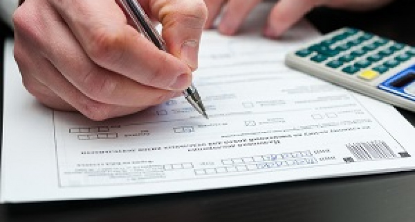 В Госдуме хотят смягчить требования к декларациям сельских депутатов