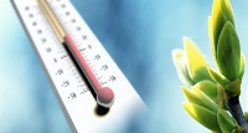 На мартовские праздники волгоградцев ждет весенняя погода