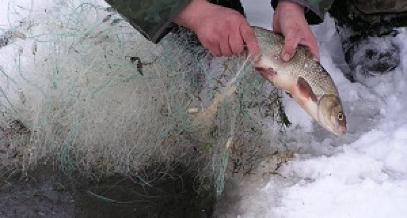 Под Волгоградом задержали браконьеров