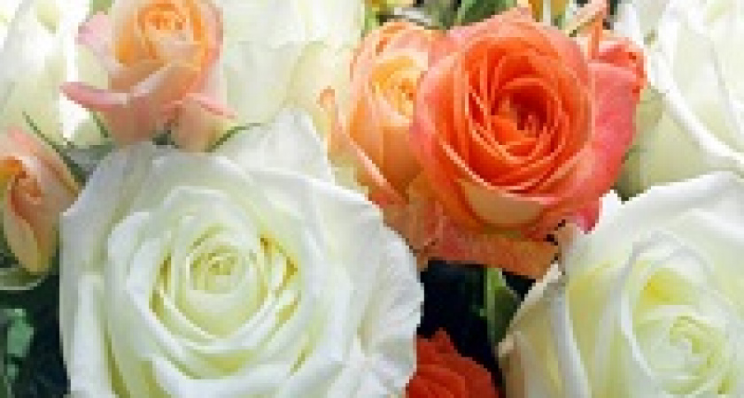 В Волгограде открылась цветочная ярмарка