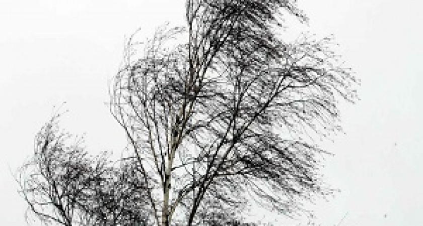 МЧС: в регионе ожидается сильный ветер