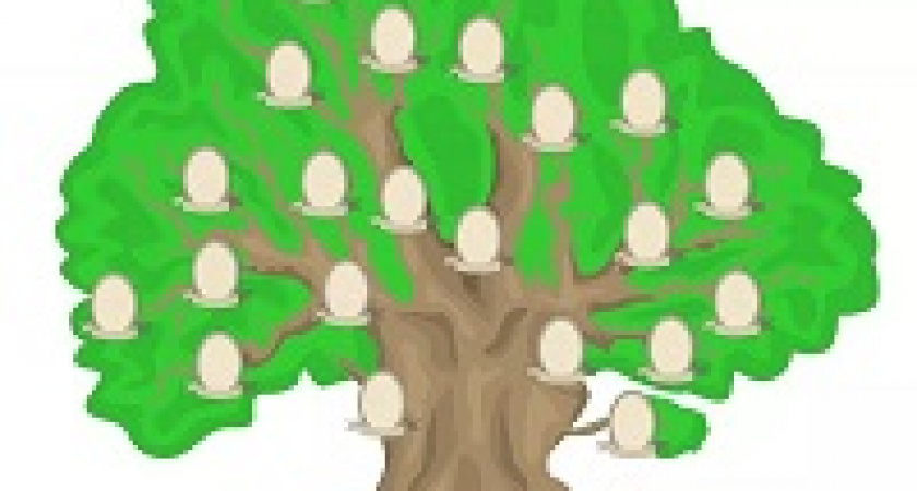 Волгоградцев научат строить генеалогическое древо