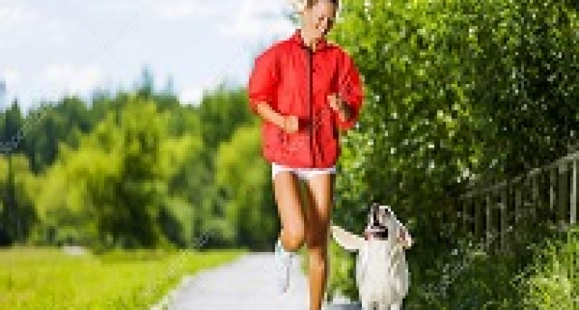 Волгоградцев приглашают на «Зелёный фестиваль»