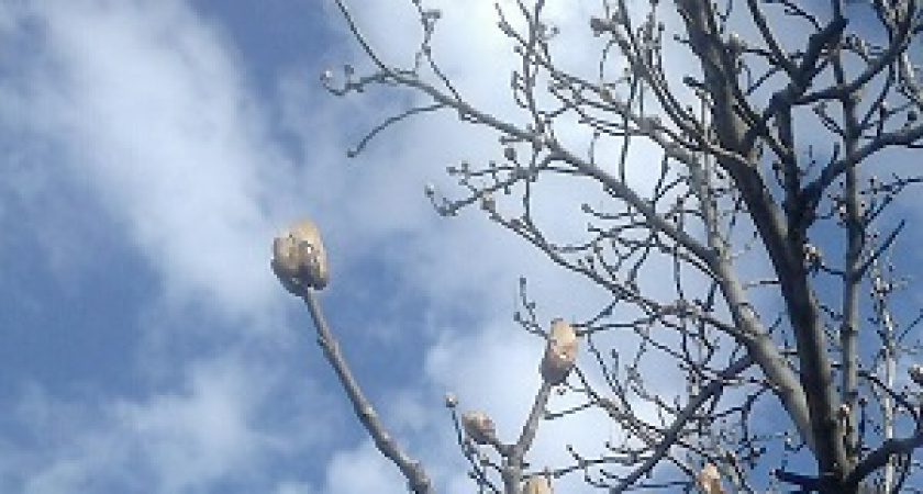 Сегодня День весеннего равноденствия