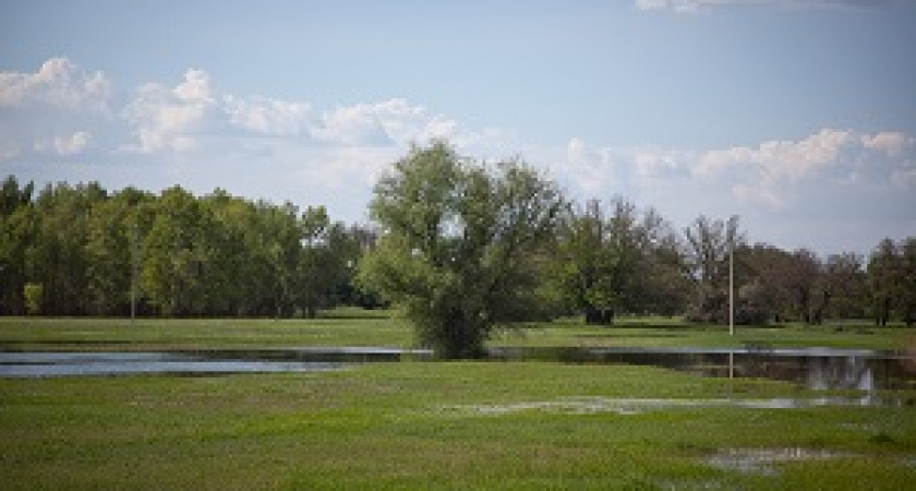 Волонтеры провели субботник в парке «Волго-Ахтубинская пойма»