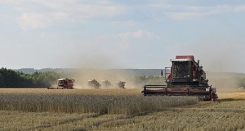 В Госдуму внесли законопроект о повышении пенсий труженикам села