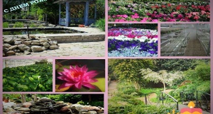 Волгоградский ботанический сад отмечает 16-й день рождения