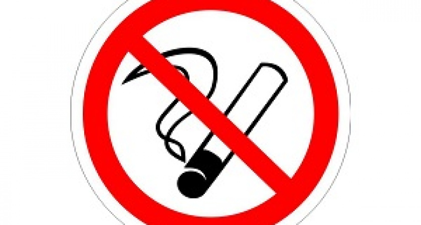 В правительстве поддержали приравнивание электронных сигарет к обычным