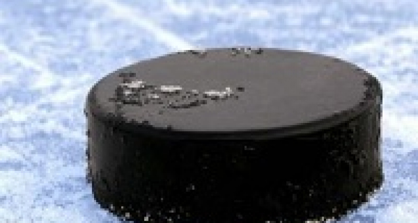 В Волгограде пройдет хоккейный турнир, посвященный Дню Победы