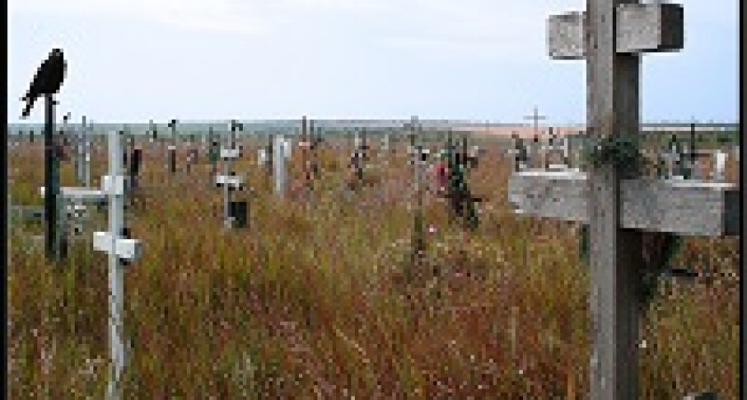 В Волгограде могут появиться частные кладбища