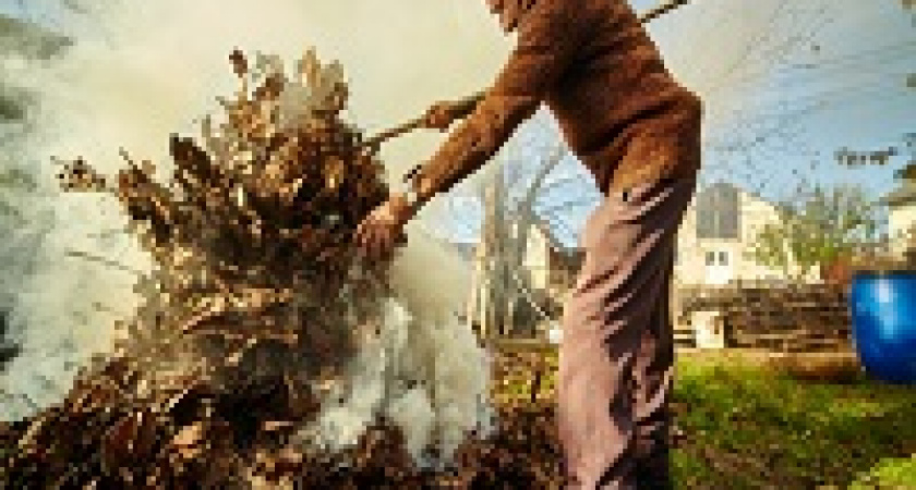 Штраф за сжигание мусора на своём участке.