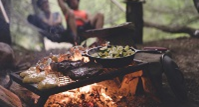 Чиновники одумались и ищут варианты,  как позволить народу шашлыки на природе