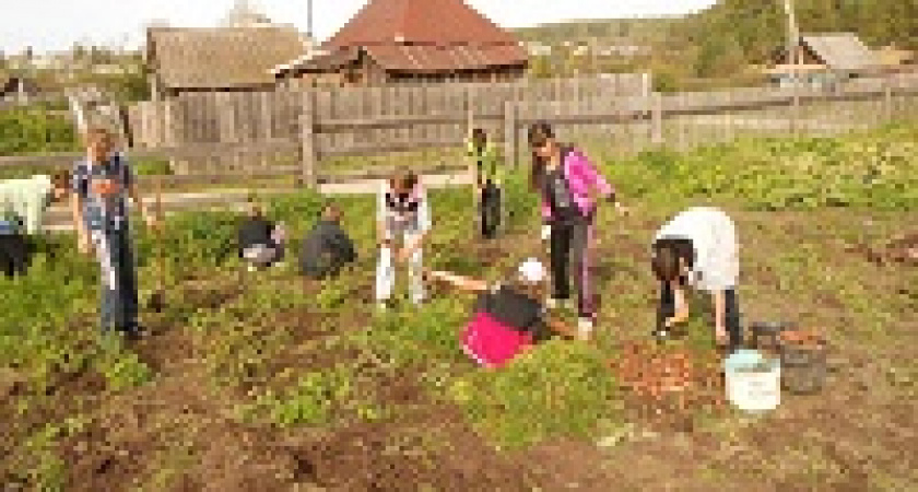Налог на огород : кто и сколько будет платить в реальности.