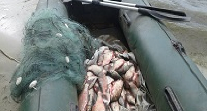 Всё, что положено рыбинспектору…