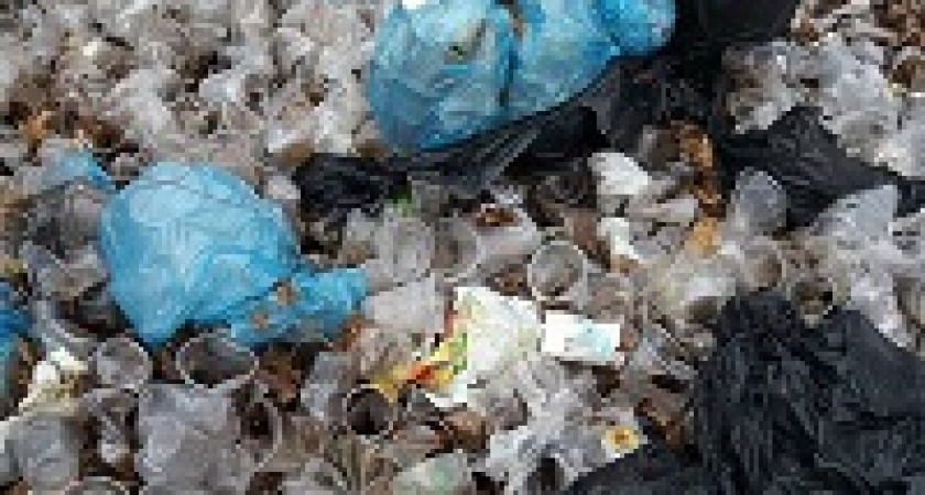 В России все-таки решили запретить одноразовую посуду