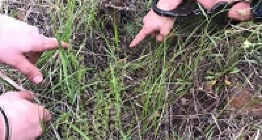 В Волгограде поймали двоих наркокурьеров