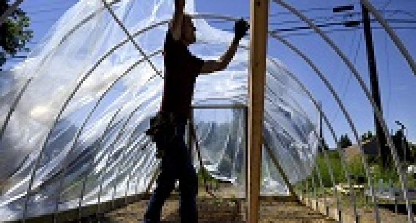 За какие теплицы дачникам придется платить