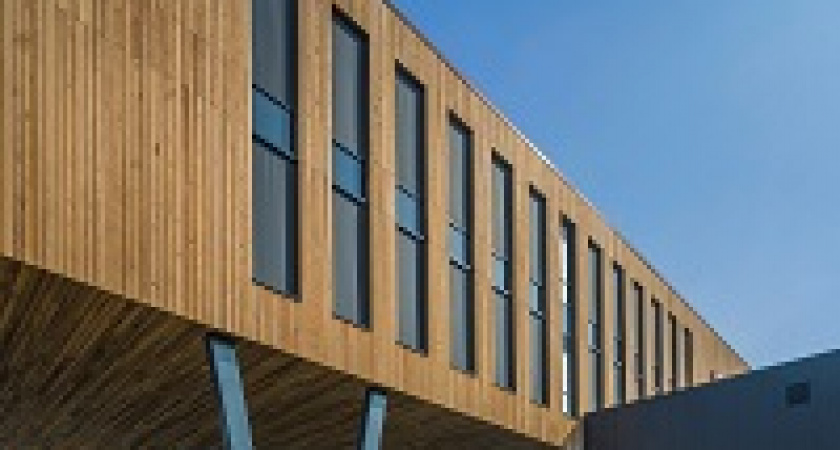 Минпромторг предложил строить из дерева треть школ и детсадов